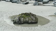 rocher à moule sauvage 08618 rocher à moule sauvage 08618