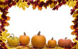 Fall leaves with pumpkin on white background