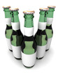 Five botles of beer. 3d