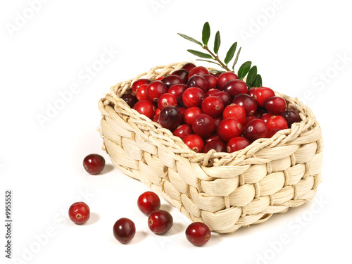 Preiselbeeren im Korb