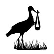 Cigogne livrant un bébé