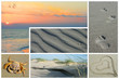 Amrumer Impressionen