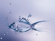 Photo : Water Fish