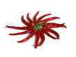 étoile rouge