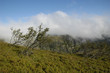 hautes vosges
