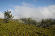 hautes vosges