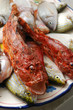Pesce Pesce