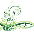 Floral Background