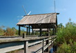 Nature Boardwalk Nature Boardwalk