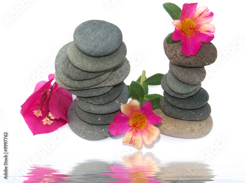 Photo: nature zen nature zen