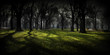 Central Park