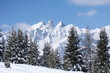 paysage de neige