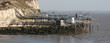 carrelet, pêche, filets, carrelets, blanc, charentes, charente,