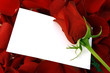 Valentine's day gift card background