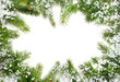 Pine branches with snow on white background