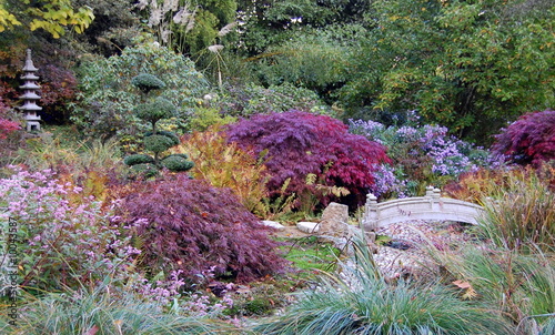 jardin japonais jardin japonais
