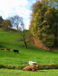 prairie ...appenzell