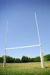 rugby rugby