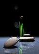 colocando zen colocando zen