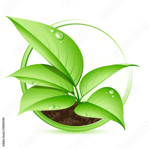 Vector: Plante verte Plante verte