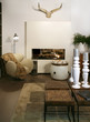 living room with fair-place and home decoration