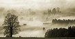 Nebellandschaft II