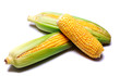Corn cob Corn cob