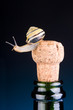 Funny snail sitting on the cork of a champagne bottle