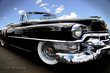 Black Beauty