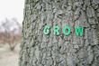 Grow letters on a tree trunk