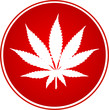 cannabis