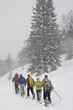 Schneeschuh-Tour bei schlechtem Wetter