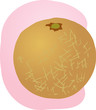 Sketch of whole fresh melon, fruit illustration