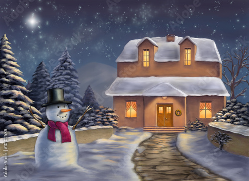 Christmas landscape at night. Original digital illustration.