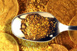 Cuillère d'or