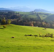 appenzell