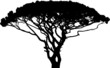 Wide tree silhouette. On white.
