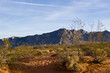 Nevada Desert