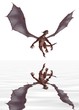 Drachen