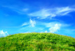 collina verde