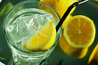 Glass of fresh water with cubes of ice and lemon