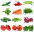 Set of different vegetables isolated on the white background Set of different vegetables isolated on the white background