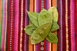 ����: Coca Leaves on background andean tapestry � ferblues #10132703