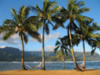 Hawaiian Hammocks