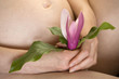 Pregnant woman's belly and hands holding pink flower.