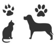 Cat and Dog