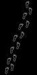 Traces going to something certain on a black background