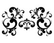 black arabesque isolated on white background
