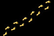 Traces going to something certain on a black background
