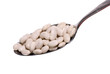 White Beans